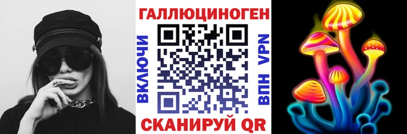 где продают   Находка  KRAKEN зеркало  Псилоцибиновые грибы Psilocybine cubensis 